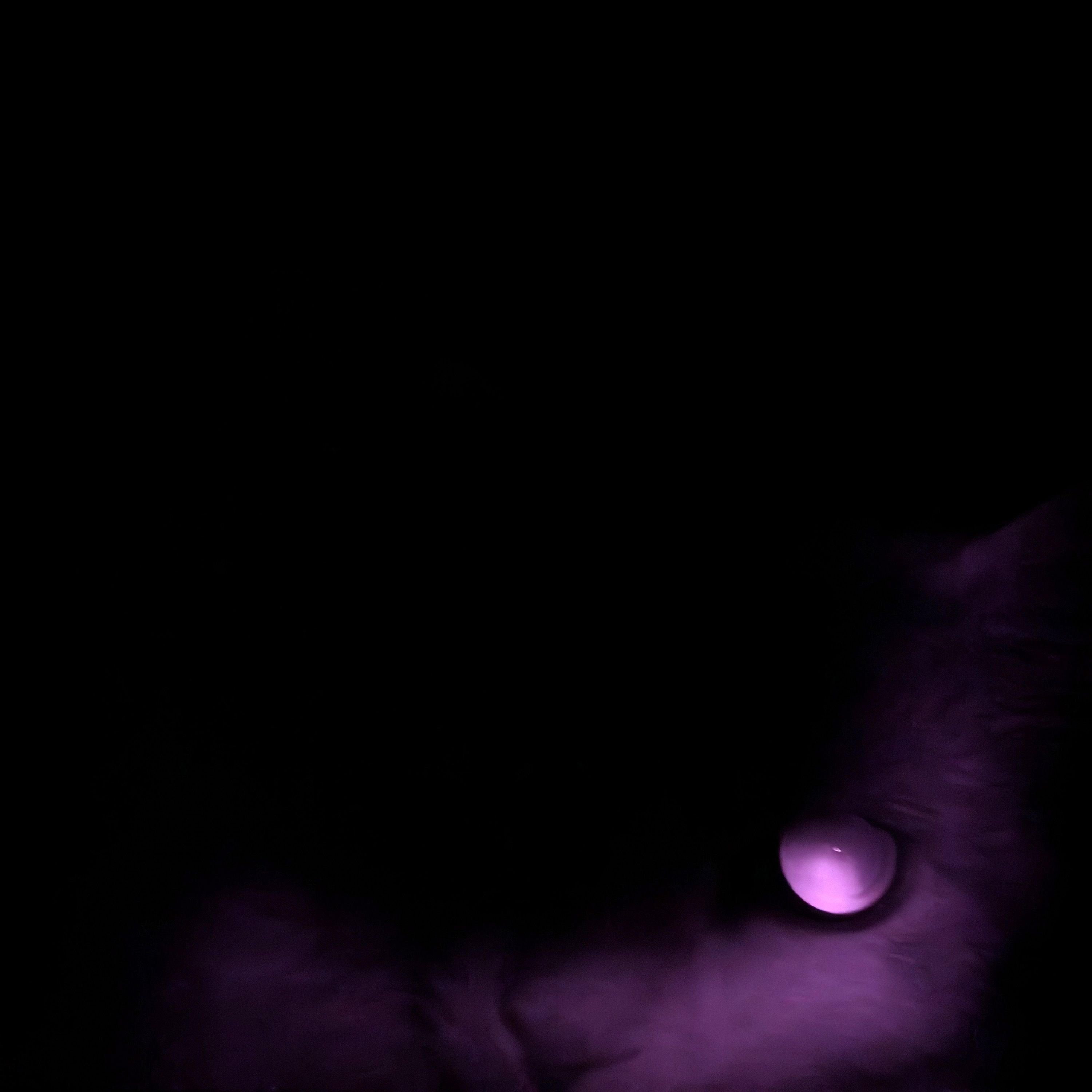 Night Creatures album art